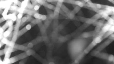 immagine della webcam nei dintorni di San Giacomo Filippo: webcam Colico