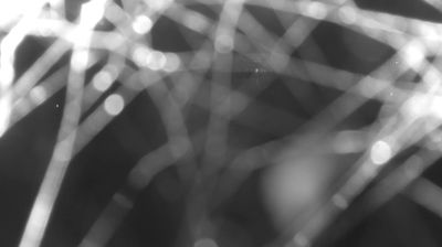 immagine della webcam nei dintorni di Pianello del Lario: webcam Colico