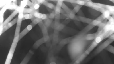 immagine della webcam nei dintorni di Sant'Abbondio: webcam Colico