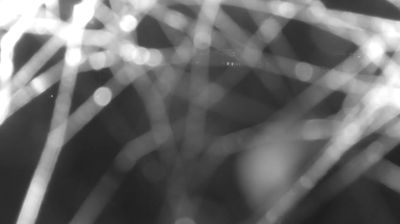 immagine della webcam nei dintorni di Val di Mello: webcam Colico