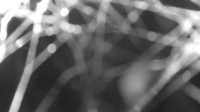 immagine della webcam nei dintorni di Val di Mello: webcam Colico