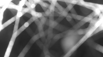 immagine della webcam nei dintorni di Pianello del Lario: webcam Colico