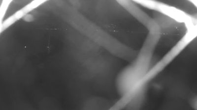 immagine della webcam nei dintorni di Alpe Giumello: webcam Colico