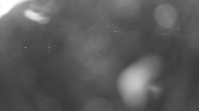 immagine della webcam nei dintorni di Menarola: webcam Colico