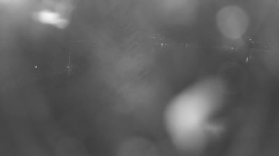 immagine della webcam nei dintorni di Dervio: webcam Colico