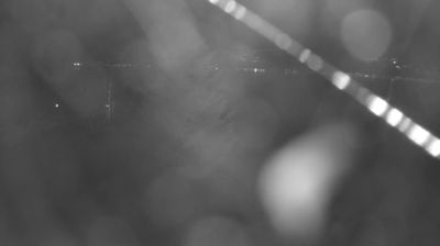 immagine della webcam nei dintorni di Rasura: webcam Colico