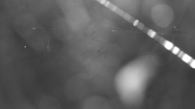 immagine della webcam nei dintorni di Monte Legnone: webcam Colico