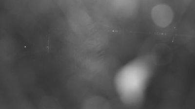 immagine della webcam nei dintorni di Albaredo per San Marco: webcam Colico