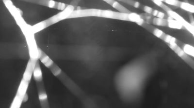 immagine della webcam nei dintorni di Pianello del Lario: webcam Colico