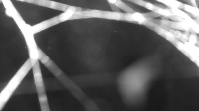 immagine della webcam nei dintorni di Vercana: webcam Colico