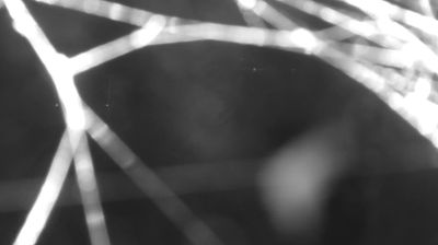 immagine della webcam nei dintorni di Montemezzo: webcam Colico