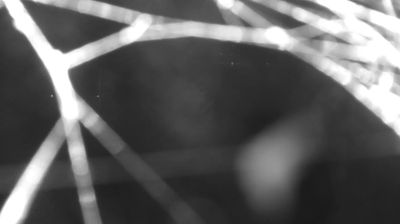 immagine della webcam nei dintorni di Piuro: webcam Colico