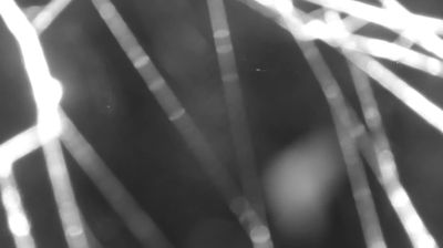 immagine della webcam nei dintorni di Monte Legnone: webcam Colico