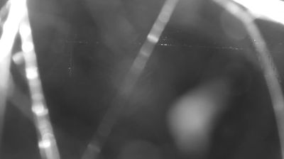 immagine della webcam nei dintorni di Domaso: webcam Colico