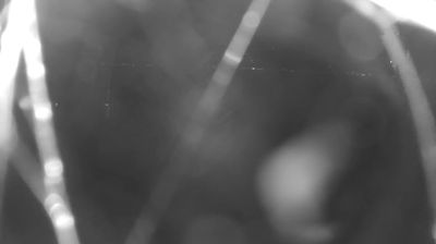 immagine della webcam nei dintorni di Val di Mello: webcam Colico