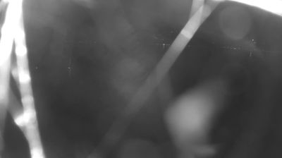 immagine della webcam nei dintorni di Consiglio di Rumo: webcam Colico