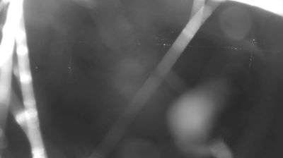 immagine della webcam nei dintorni di Alpe Giumello: webcam Colico