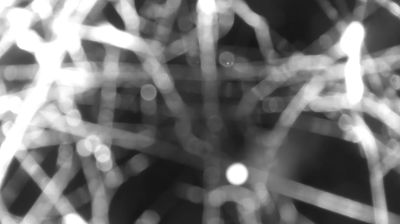 immagine della webcam nei dintorni di Val Masino: webcam Colico