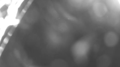 Preview delle webcam di Colico