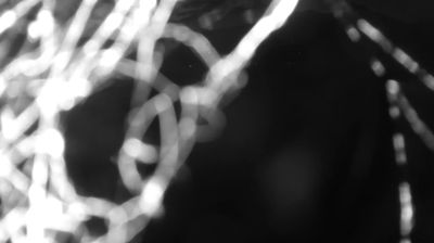 immagine della webcam nei dintorni di Cremia: webcam Colico