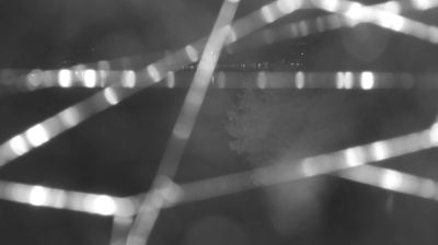 immagine della webcam nei dintorni di San Giacomo Filippo: webcam Colico
