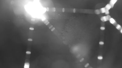immagine della webcam nei dintorni di Piuro: webcam Colico