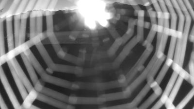 immagine della webcam nei dintorni di Perledo: webcam Colico