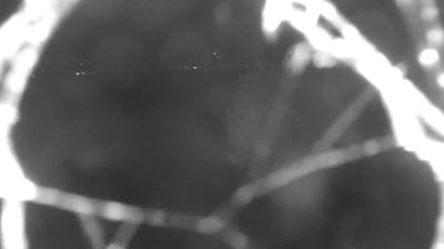 immagine della webcam nei dintorni di Cremia: webcam Colico