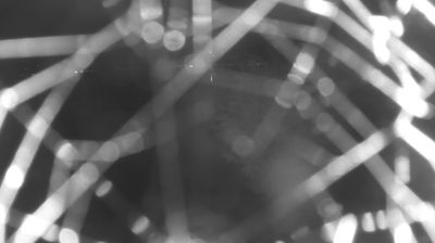 immagine della webcam nei dintorni di Rasura: webcam Colico