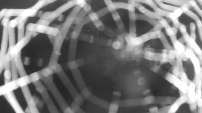 immagine della webcam nei dintorni di Rasura: webcam Colico