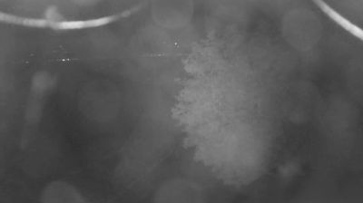 immagine della webcam nei dintorni di Dosso del Liro: webcam Colico