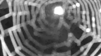 immagine della webcam nei dintorni di Gordona: webcam Colico