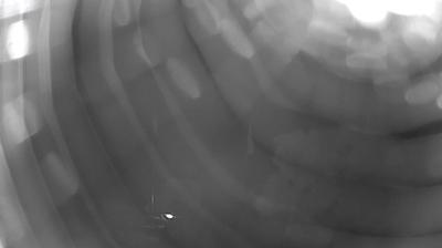 immagine della webcam nei dintorni di Colico: webcam Cremia