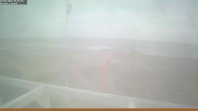 immagine della webcam nei dintorni di Porto Garibaldi: webcam Lido di Pomposa