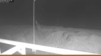 immagine della webcam nei dintorni di Comacchio: webcam Lido di Pomposa