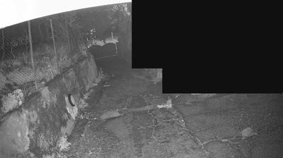 immagine della webcam nei dintorni di Sorrento: webcam Massa Lubrense