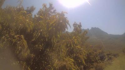immagine della webcam nei dintorni di Pietrasanta: webcam Campo Cecina