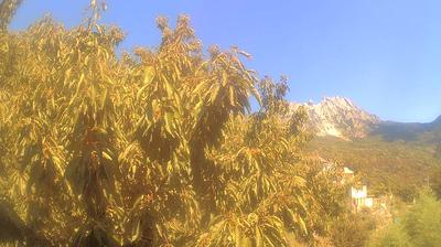 immagine della webcam nei dintorni di Massa: webcam Campo Cecina