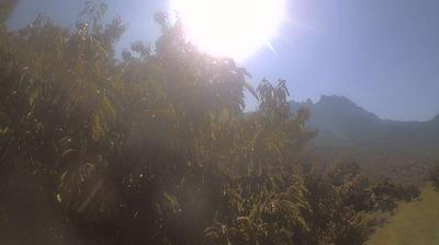 immagine della webcam nei dintorni di Capanne di Sillano: webcam Campo Cecina