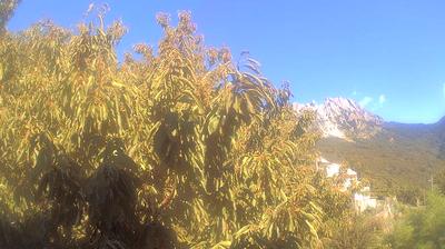 immagine della webcam nei dintorni di Pietrasanta: webcam Campo Cecina