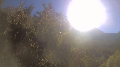 immagine della webcam nei dintorni di Fivizzano: webcam Campo Cecina