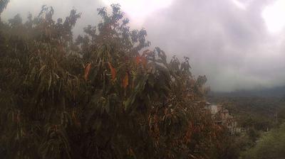 immagine della webcam nei dintorni di Castiglione di Garfagnana: webcam Campo Cecina