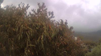 immagine della webcam nei dintorni di Montignoso: webcam Campo Cecina