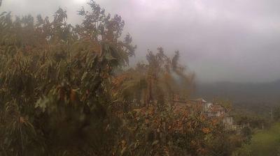 immagine della webcam nei dintorni di Montignoso: webcam Campo Cecina