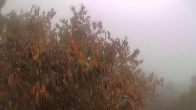 immagine della webcam nei dintorni di Massa: webcam Campo Cecina