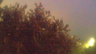 immagine della webcam nei dintorni di Massa: webcam Campo Cecina