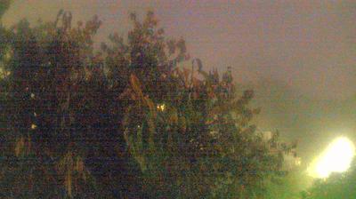 immagine della webcam nei dintorni di Lerici: webcam Campo Cecina