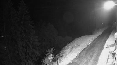 Preview delle webcam di Valdisotto › Sud: Località Presure