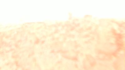 immagine della webcam nei dintorni di Gatteo: webcam Longiano