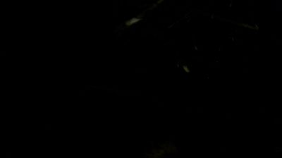 immagine della webcam nei dintorni di Civitaluparella: webcam Monteferrante